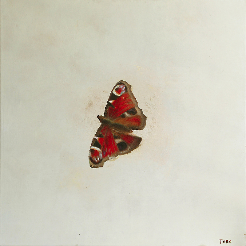 Butterfly Solo_S_60x60cm