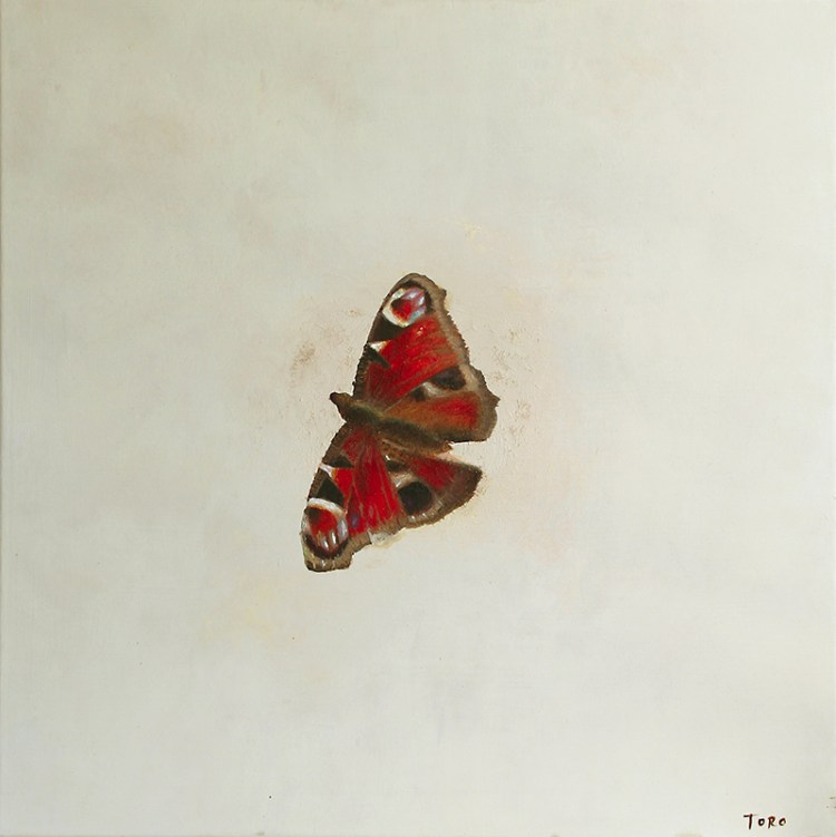 Butterfly Solo_S_60x60cm