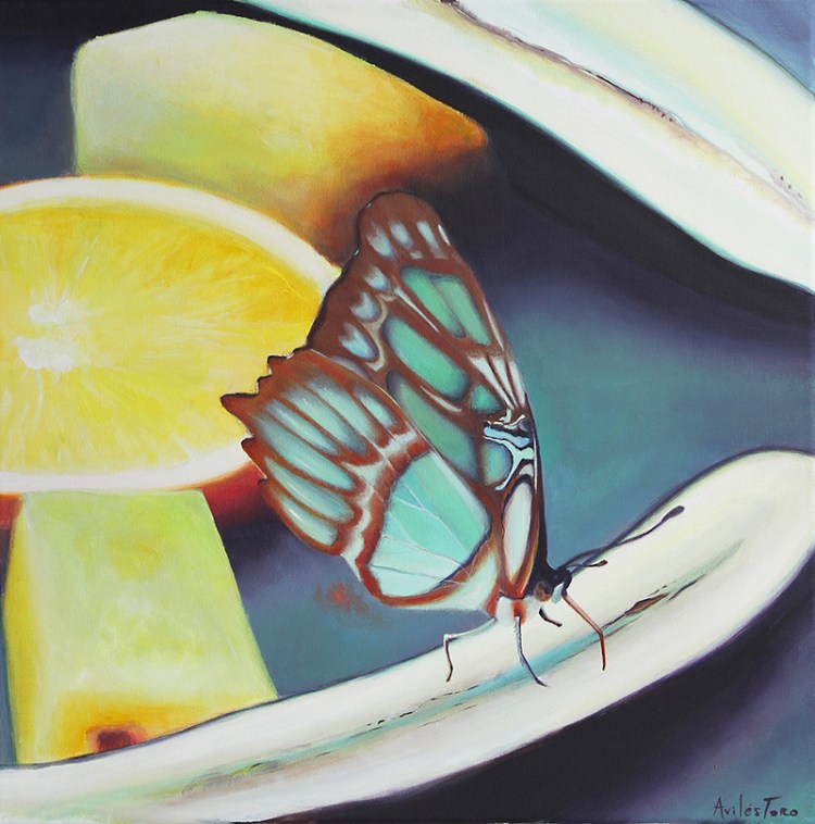 mariposaenfruta_S_50x50cm